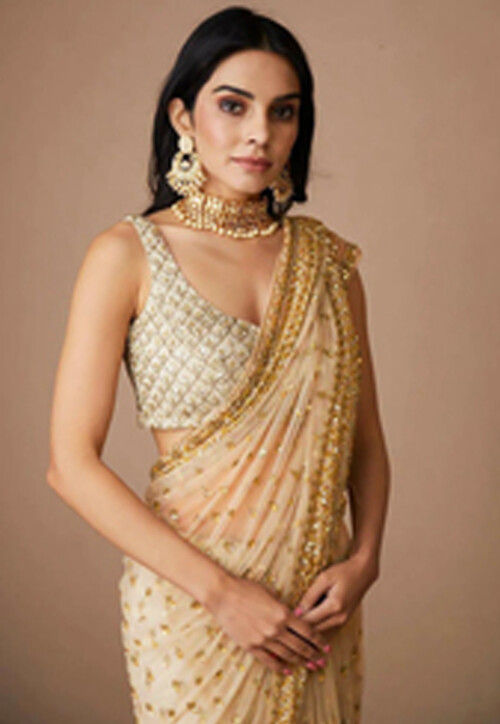 Hand Embroidered Net Saree in Dark Beige