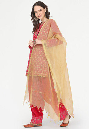 Aari Embroidered Velvet Punjabi Suit in Pink