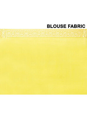 Banarasi Pure Chiffon Saree in Light Green