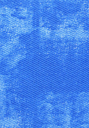 Digital Printed Canvas Coin Pouch in Blue