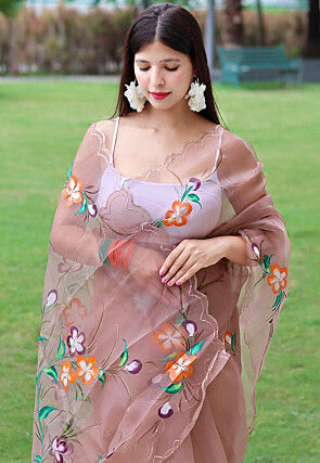 Hant Painted Organza Saree in Brown