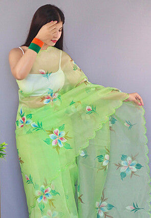 Hant Painted Organza Saree in Light Green