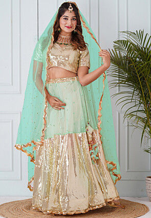 Embellished Net Dupatta in Pastel Green
