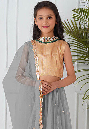 Embellished Net Lehenga in Grey