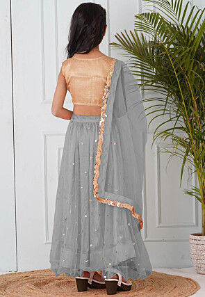 Embellished Net Lehenga in Grey