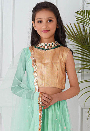 Embellished Net Lehenga in Pastel Green