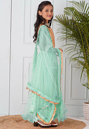 Embellished Net Lehenga in Pastel Green
