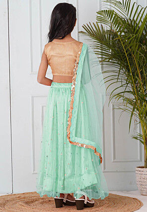 Embellished Net Lehenga in Pastel Green