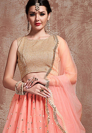Embellished Net Lehenga in Peach