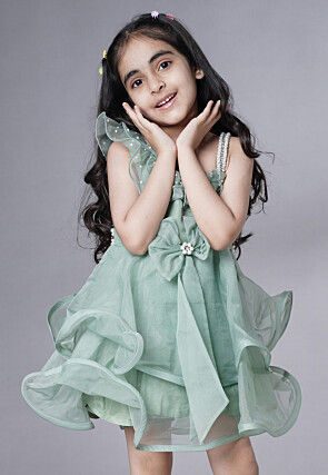 Embellished Organza Dress in Dusty Green