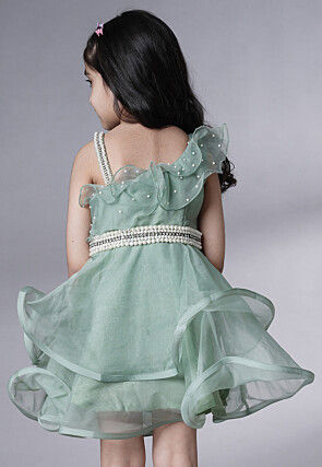 Embellished Organza Dress in Dusty Green