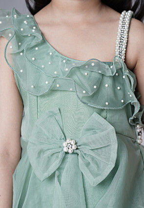 Embellished Organza Dress in Dusty Green