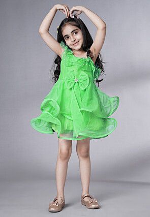 Embellished Organza Dress in Light Green
