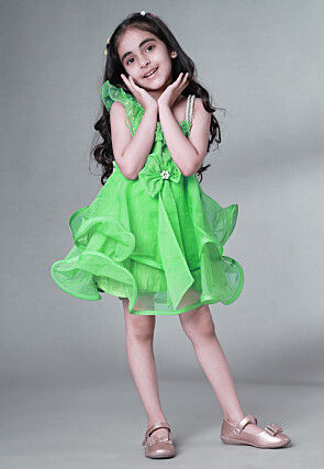 Embellished Organza Dress in Light Green