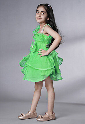 Embellished Organza Dress in Light Green