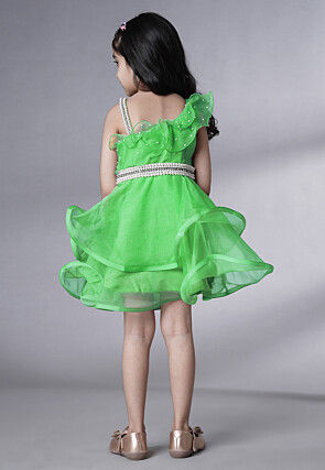 Embellished Organza Dress in Light Green