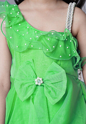Embellished Organza Dress in Light Green
