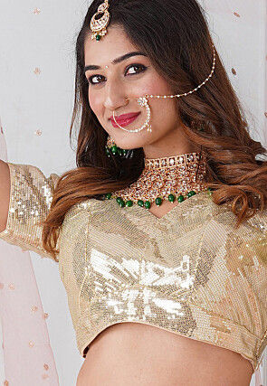 Embroidered   Georgette Blouse in Beige