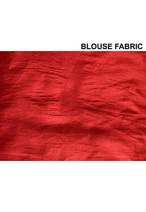 Embroidered Art Kota Tissue Saree in Rust