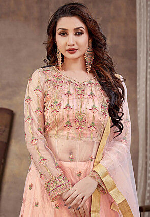 Embroidered Net Lehenga in Peach