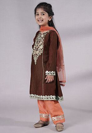 Embroidered Chanderi Silk Punjabi Suit in Brown