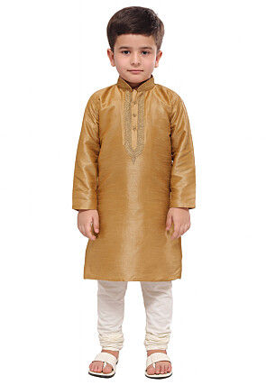 Embroidered Dupion Silk Kurta Set in Beige
