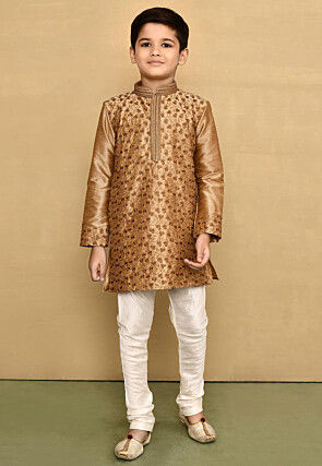 Embroidered Dupion Silk Kurta Set in Dark Beige