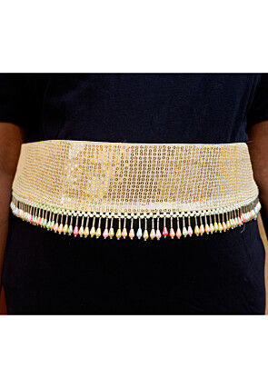 Embroidered Georgette Adjustable Waist Belt in Beige
