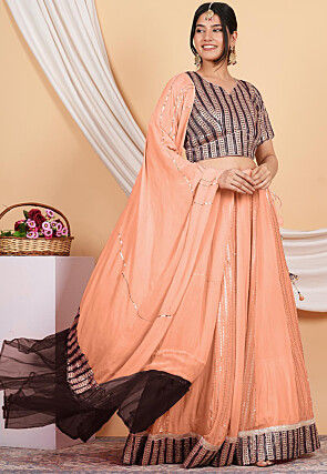 Embroidered Georgette and Net Dupatta in Peach and Brown