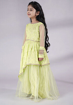 Embroidered Georgette Gown in Light Green