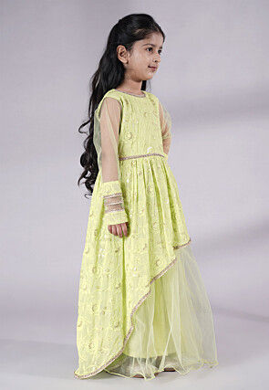 Embroidered Georgette Gown in Light Green