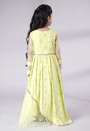 Embroidered Georgette Gown in Light Green