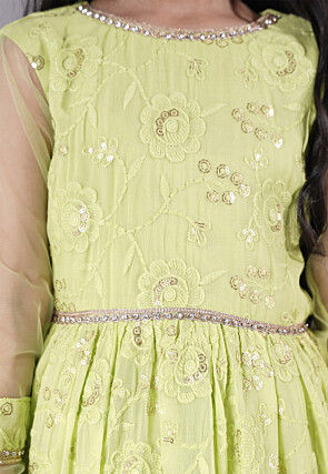 Embroidered Georgette Gown in Light Green