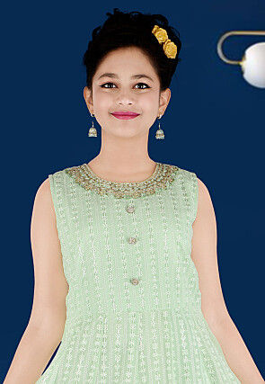 Embroidered Georgette Gown in Light Green