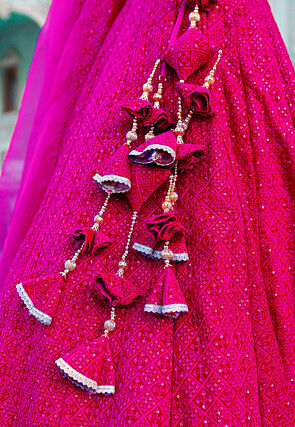 Embroidered Georgette Lehenga in Fuchsia