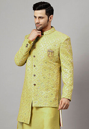 Embroidered Georgette Long Jacket in Light Olive Green