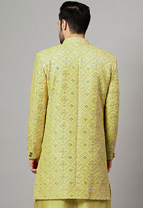 Embroidered Georgette Long Jacket in Light Olive Green