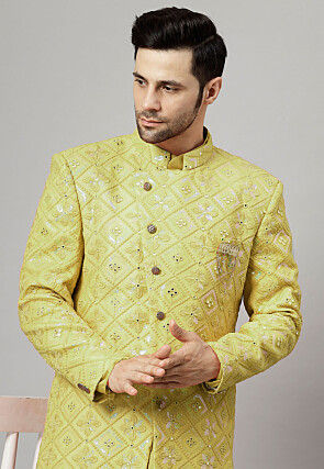 Embroidered Georgette Long Jacket in Light Olive Green