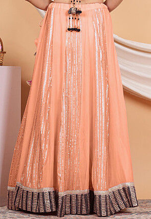 Embroidered Georgette Skirt in Peach