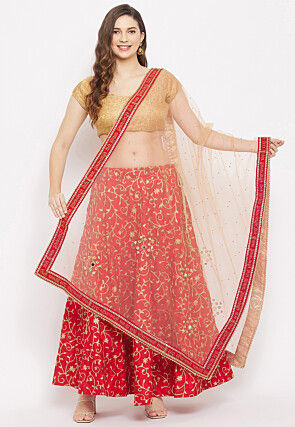 Embroidered Net Dupatta in Beige