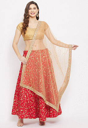Embroidered Net Dupatta in Beige