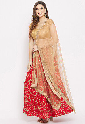 Embroidered Net Dupatta in Beige