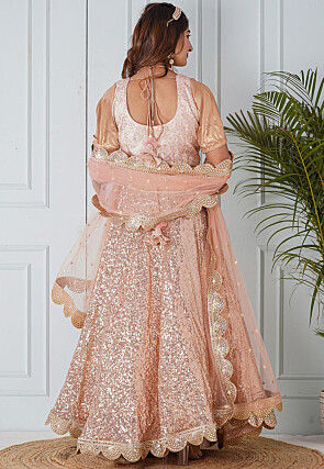 Embroidered Net Dupatta in Peach