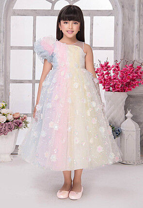 Embroidered Net Gown in Multicolor