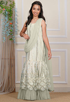 Embroidered Net Gown in Pastel Green