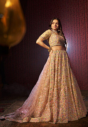 Embroidered Net Lehenga in Beige