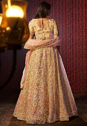 Embroidered Net Lehenga in Beige