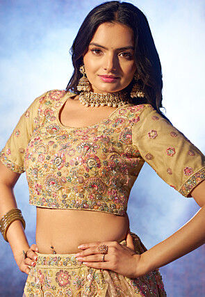 Embroidered Net Lehenga in Beige