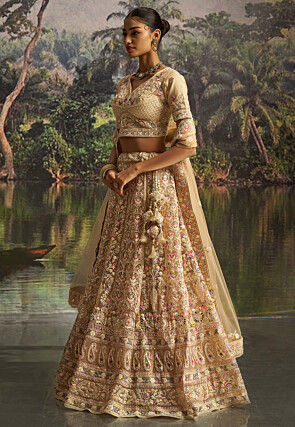 Embroidered Net Lehenga in Beige