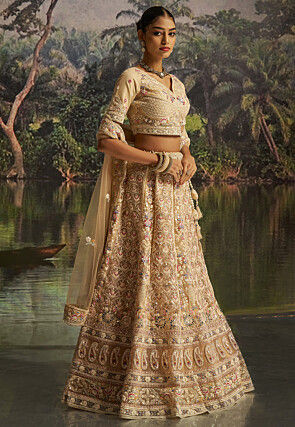 Embroidered Net Lehenga in Beige
